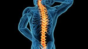 3 spine quiz