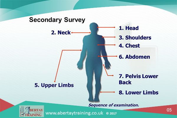 Secondary Survey